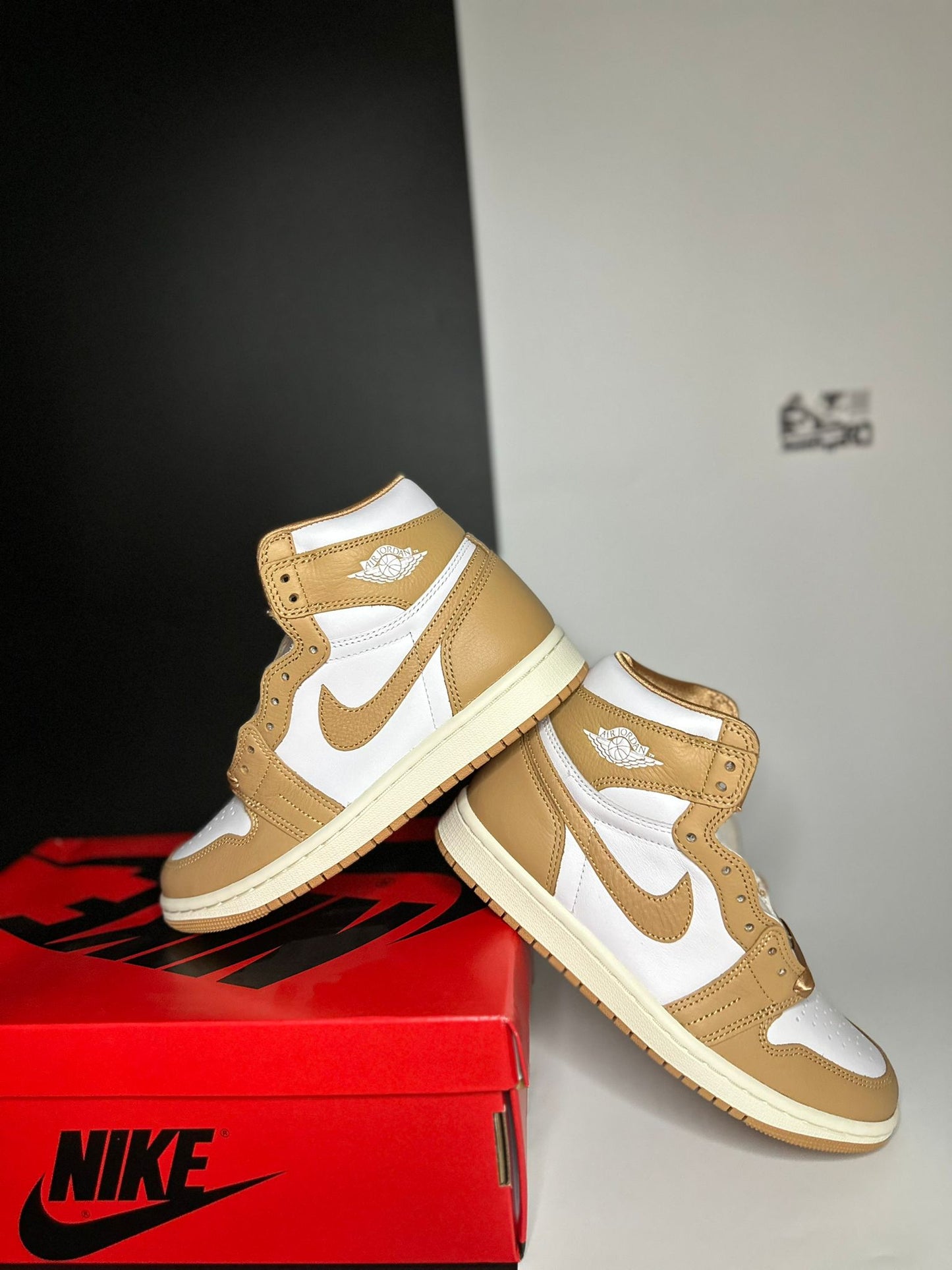 Nike Air Jordan 1 High "Praline"